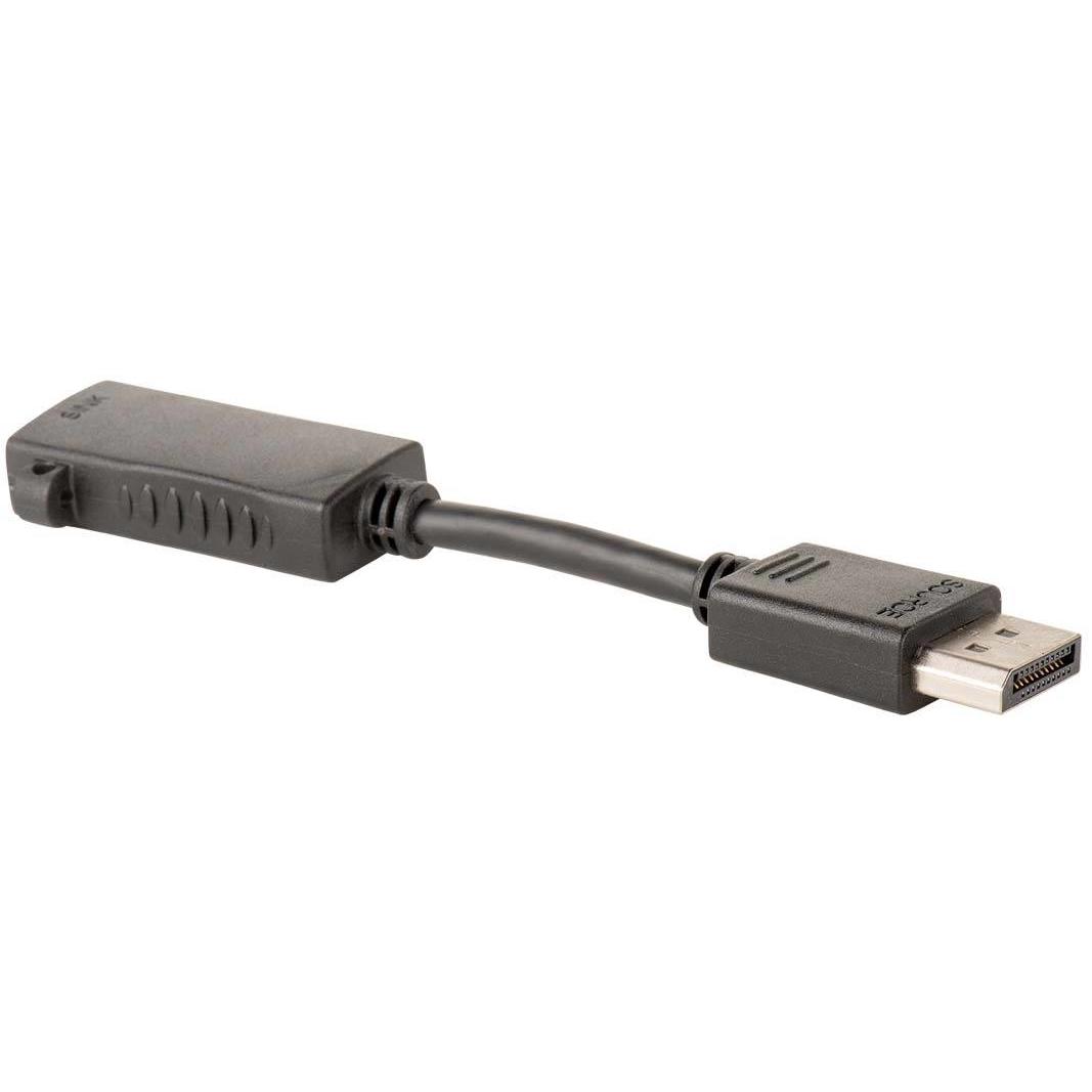 Universal - Adaptateur adaptateur HDMI mâle à DP Display Port alimenté par  USB 4K